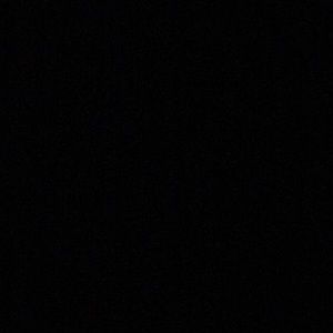 Meet your Posher, Shamika